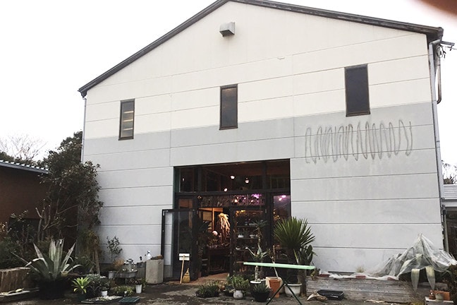 多肉植物・サボテン専門店SABOTEN MISSILE(サボテンミサイル)